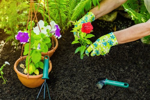 Garden safety check before maintenance begins