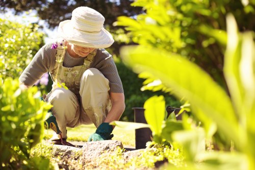 Healthy lawn care in Harrow on the Hill with neat grass and garden edges