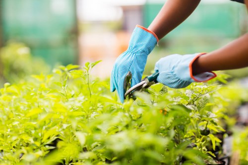 Garden service issue being assessed fairly