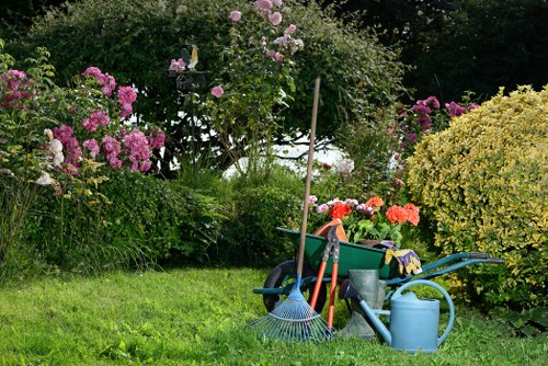 Well-maintained borders and lawn in Harrow on the Hill