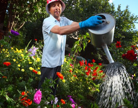 Seasonal lawn maintenance in Harrow on the Hill for greener turf