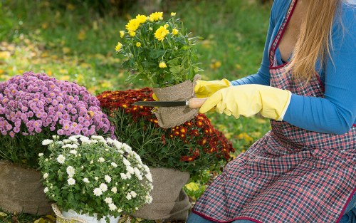 Cookie settings and user control concept for gardeners in Harrow on the Hill