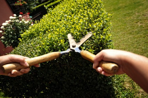 Gardeners assessing outdoor risks and equipment
