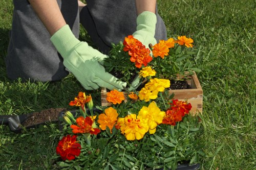 Responsible garden waste collection for a Harrow on the Hill property