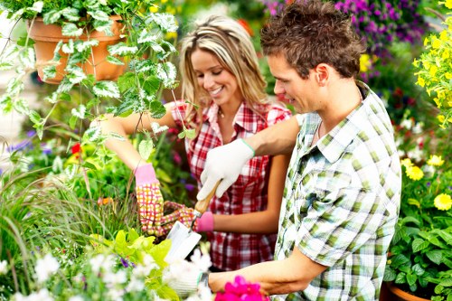 Free quote assessment for a local garden maintenance job