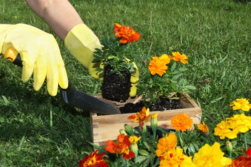 Professional green waste removal during garden clearance in Harrow on the Hill