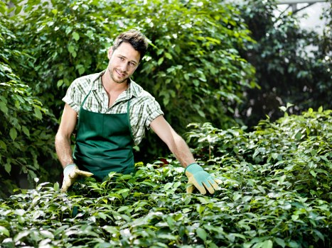 Staff training and monitoring for ethical workplace practices