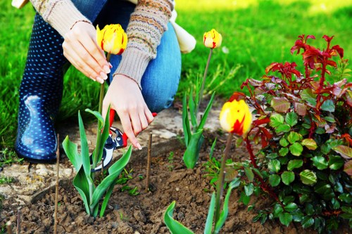 Professional garden clearance and upkeep in Harrow on the Hill