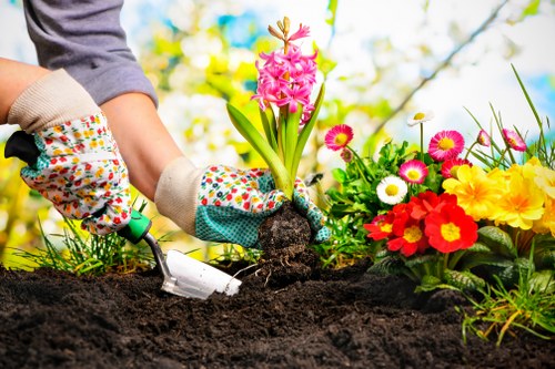 Insured gardeners carrying out safe garden care in Harrow on the Hill