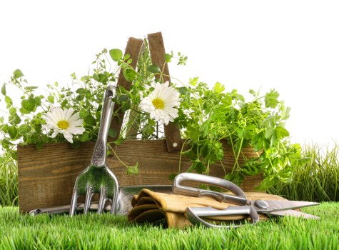 SSL encrypted payment protection for Gardeners Harrow on the Hill