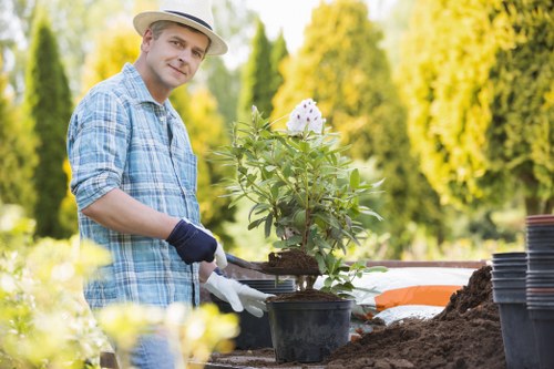 Thoughtful garden restoration and maintenance in Harrow on the Hill