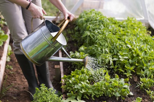 Seasonal planting and lawn care by local gardeners