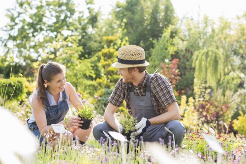 Professional lawn care services in Harrow on the Hill for tidy gardens