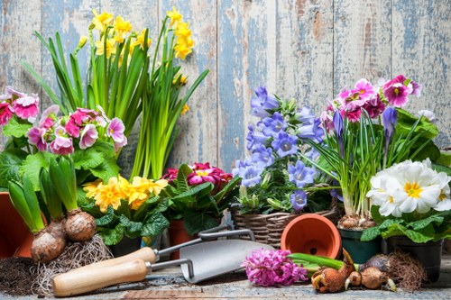 Professional garden maintenance in Harrow on the Hill
