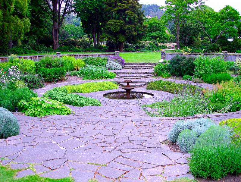 Garden backyard
