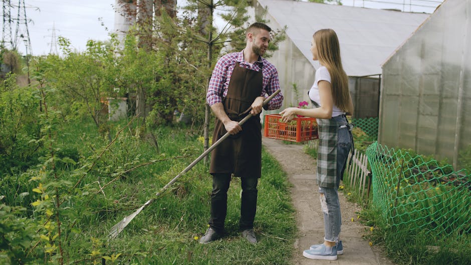 What to know about same day gardeners Harrow on the Hill